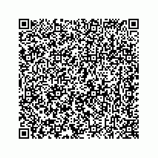 vCard 78637320099
