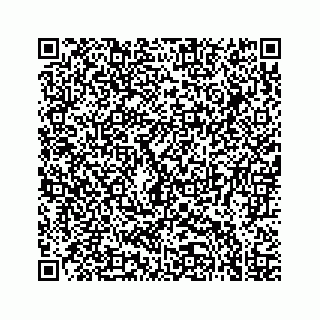 vCard 78637320132