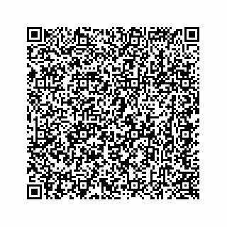 vCard 78637320138