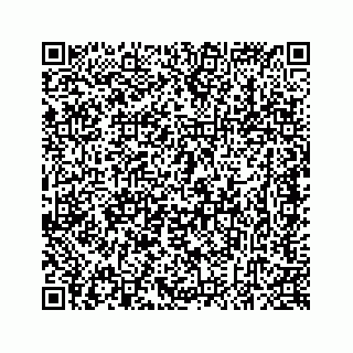 vCard 78637320173