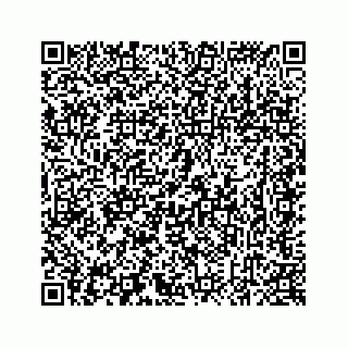 vCard 78637320199