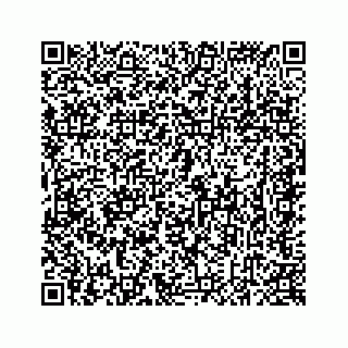 vCard 78637320287