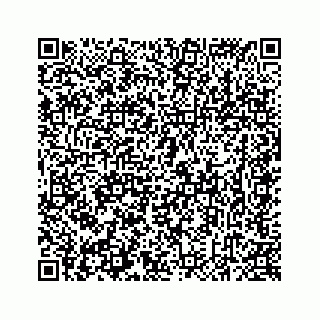 vCard 78637320295