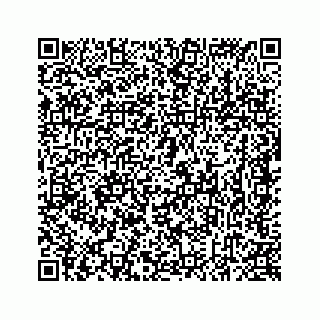 vCard 78637320313