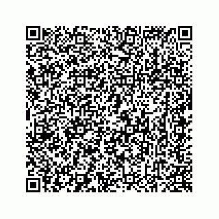vCard 78637320330