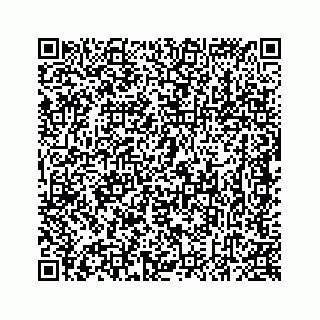 vCard 78637320333