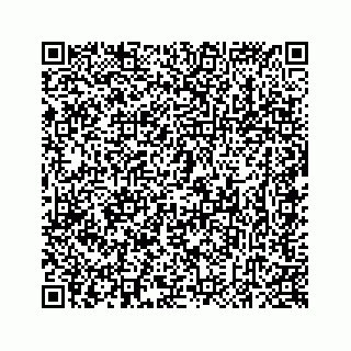 vCard 78637320335