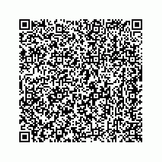 vCard 78637320371