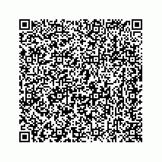 vCard 78637320379