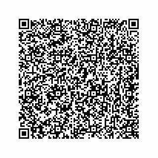 vCard 78637320381