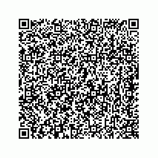 vCard 78637320383