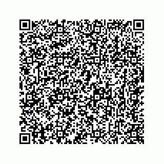 vCard 78637320385