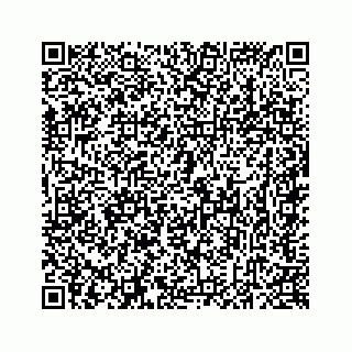vCard 78637320386