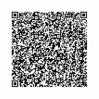 vCard 78637320387