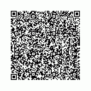 vCard 78637320388