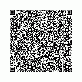 vCard 78637320389