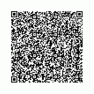 vCard 78637320393