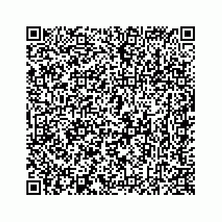 vCard 78637320396
