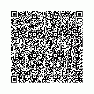 vCard 78637320399
