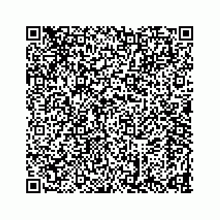 vCard 78637499381