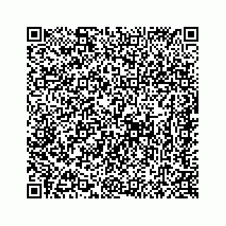 vCard 78637640387