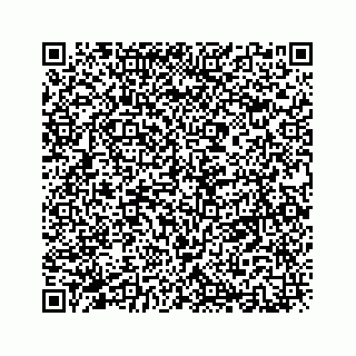 vCard 78637933263