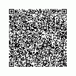 vCard 78637933271