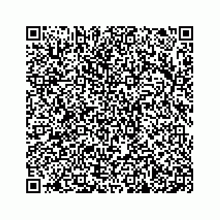 vCard 78638365313