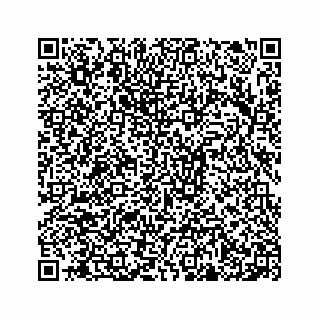 vCard 78638369300