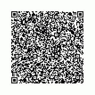 vCard 78638369311