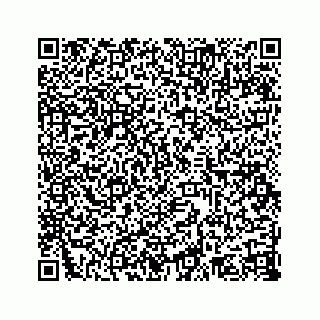 vCard 78638369313