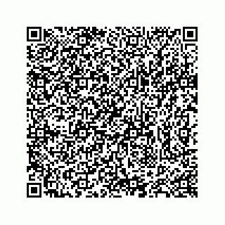 vCard 78638369333