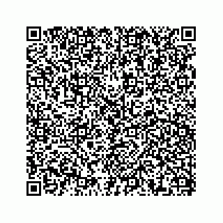vCard 78638369334