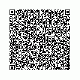 vCard 78638369381