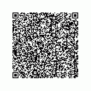 vCard 78638638741