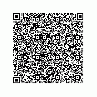 vCard 78638833313