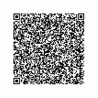 vCard 78639653131