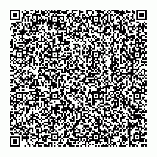 vCard 78652990879