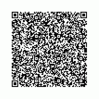 vCard 78654333381