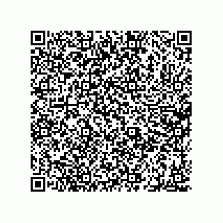 vCard 78655335296
