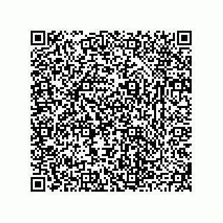 vCard 78655355347