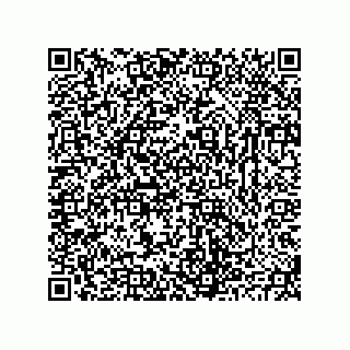 vCard 78655355381