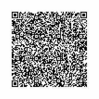 vCard 78655655361