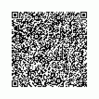 vCard 78655738101