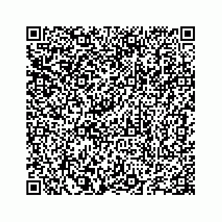 vCard 78655738119