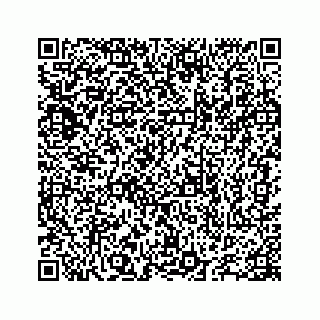 vCard 78655738121
