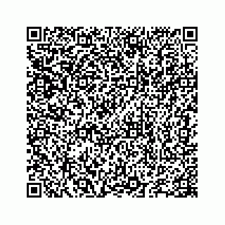 vCard 78655738128
