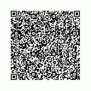 vCard 78655738131