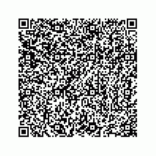 vCard 78655738133