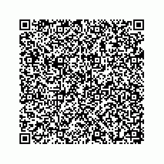 vCard 78655738153